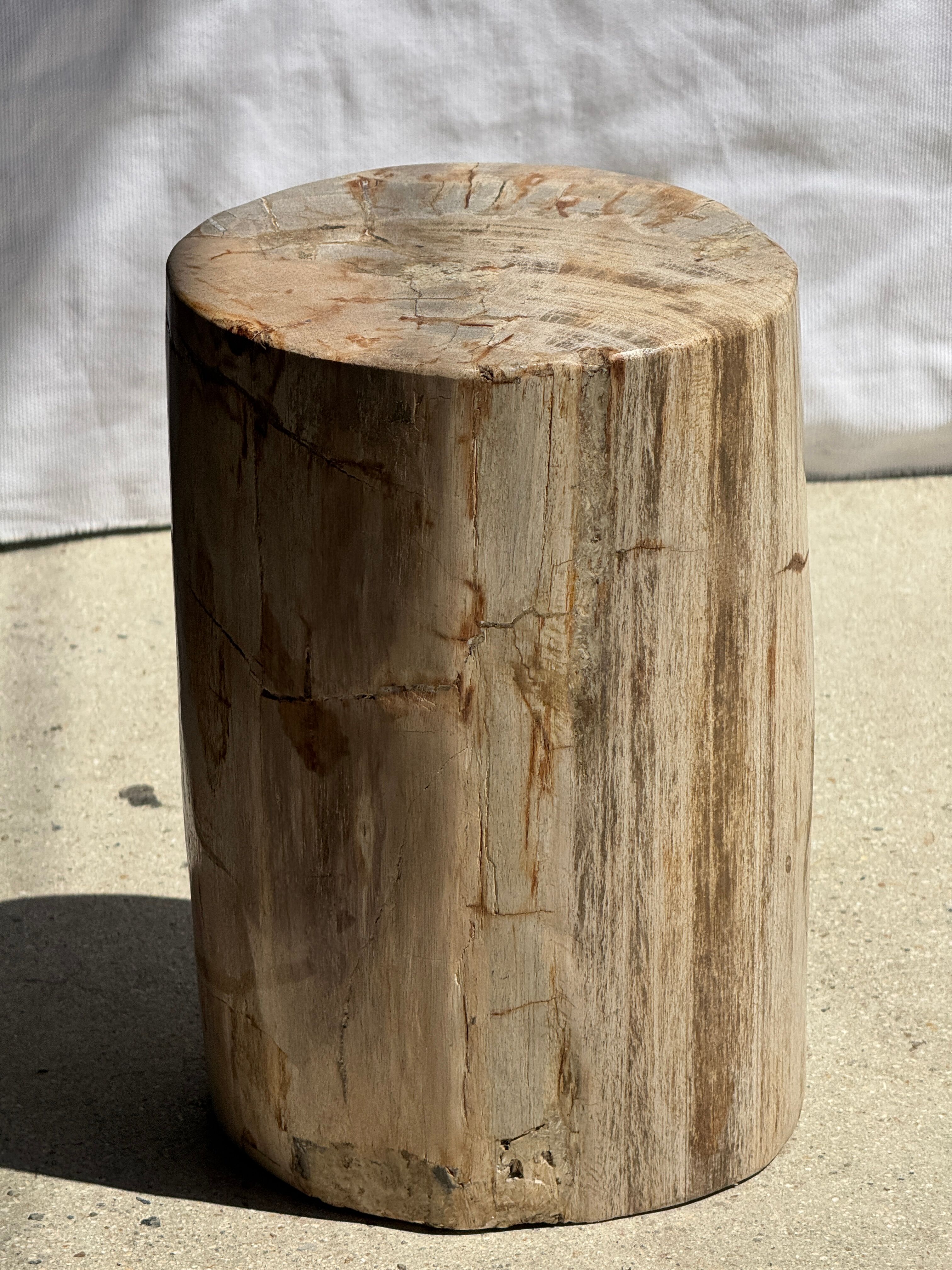 Small side table in white, grey, beige petrified wood H28 D18 - 3330