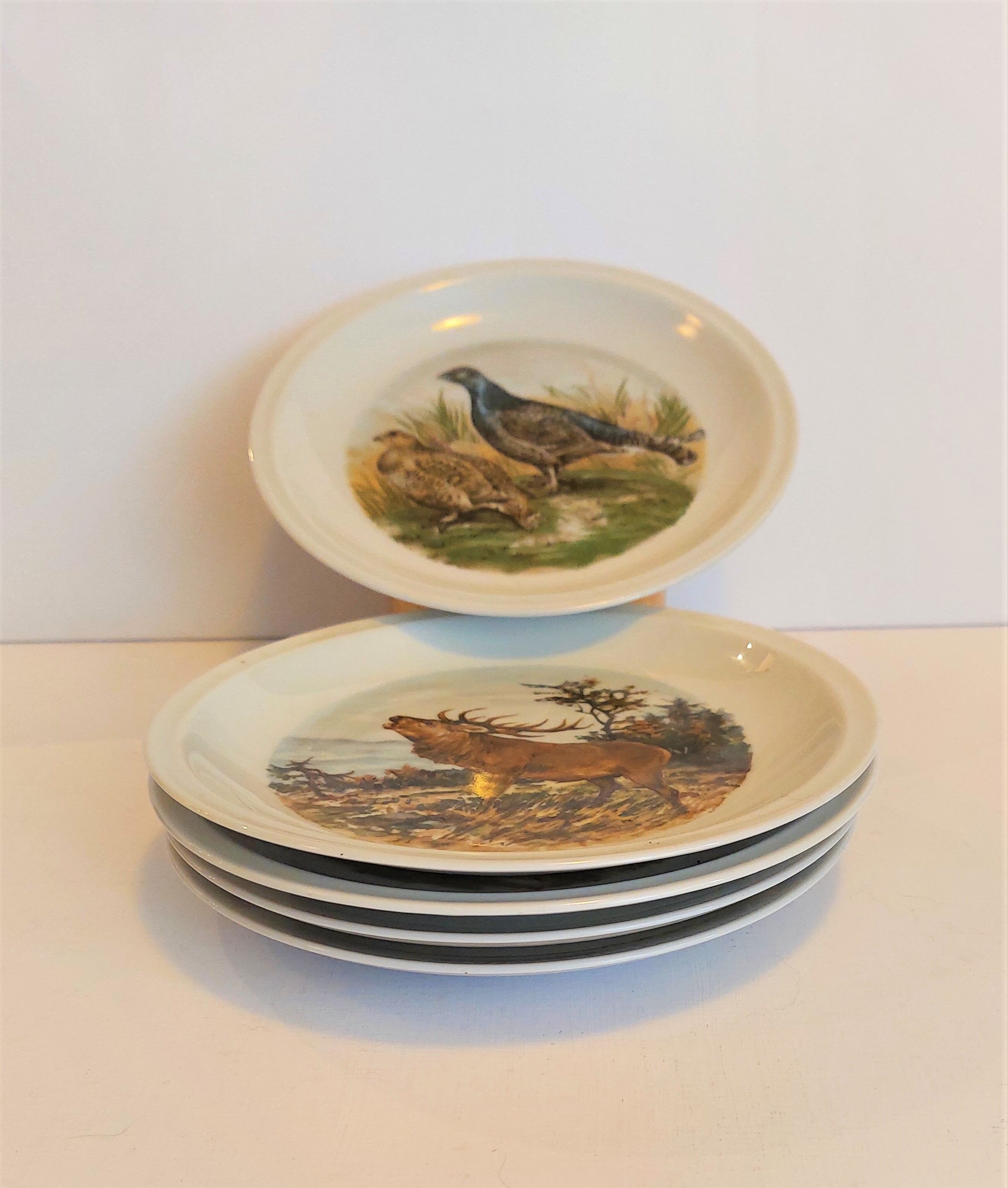 set of 5 plates Bavaria