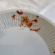 4 Haviland France Limoges Porcelain Dinner Plates