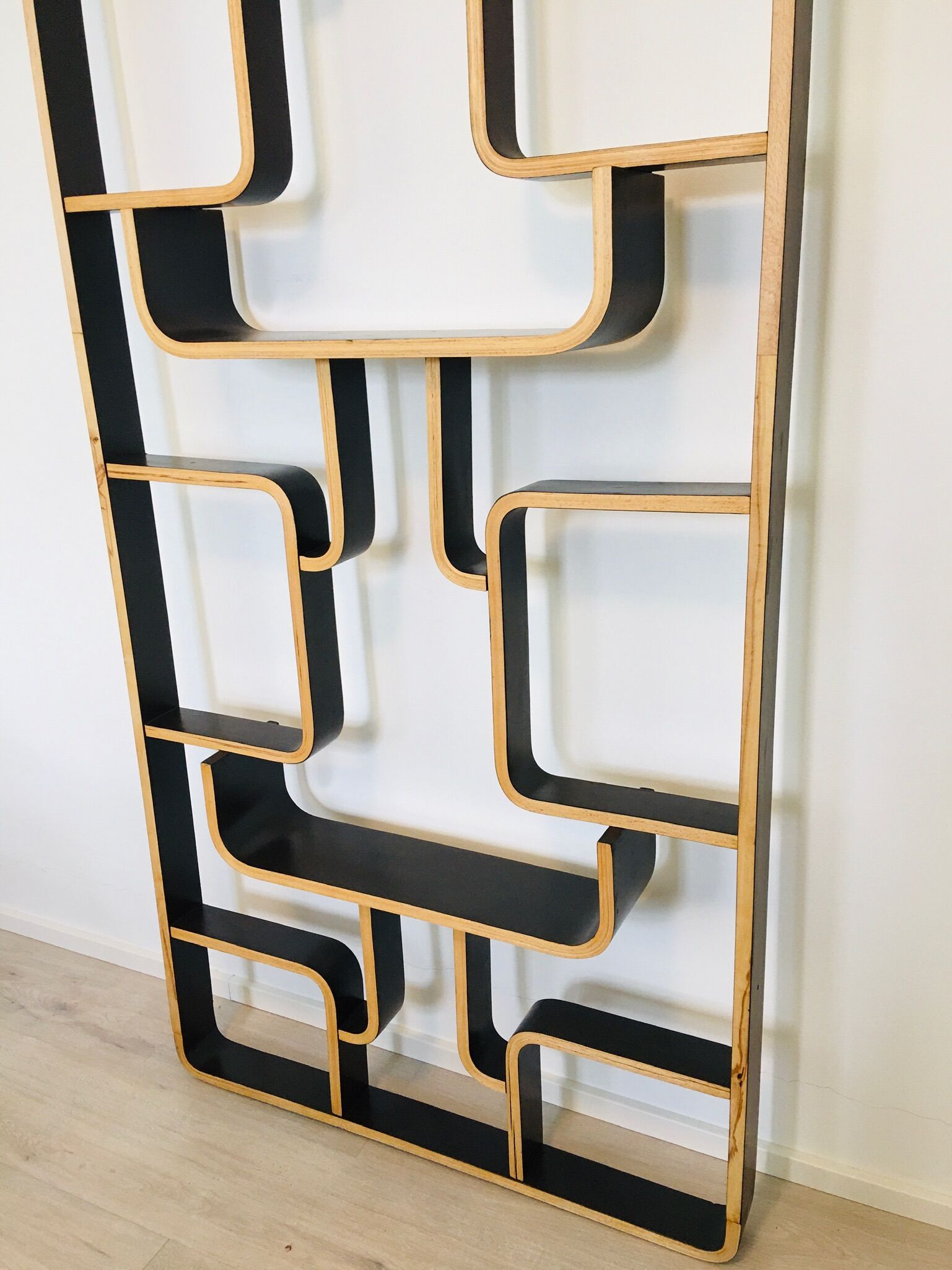 Mid-Century Room Divider by Ludvik Volak for Drevopodnik Holesov, 1960s
