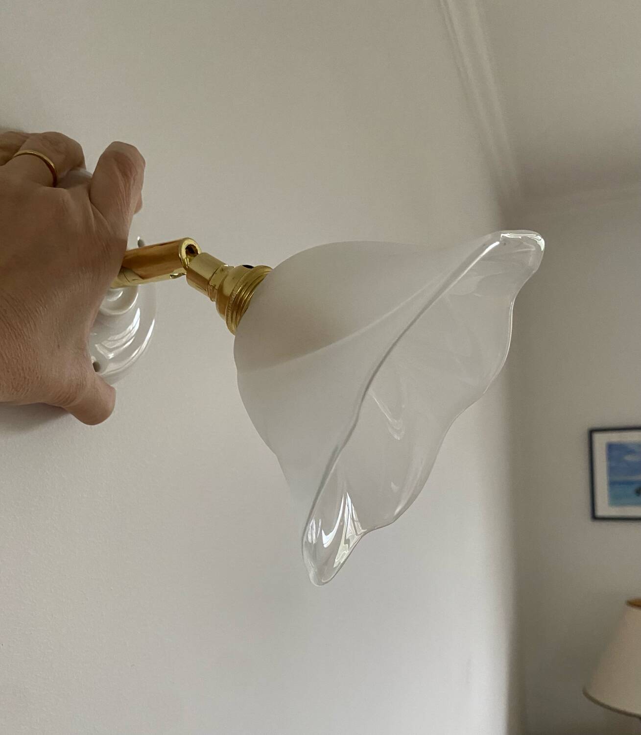 Pair of wall sconces with vintage globes