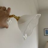 Pair of wall sconces with vintage globes