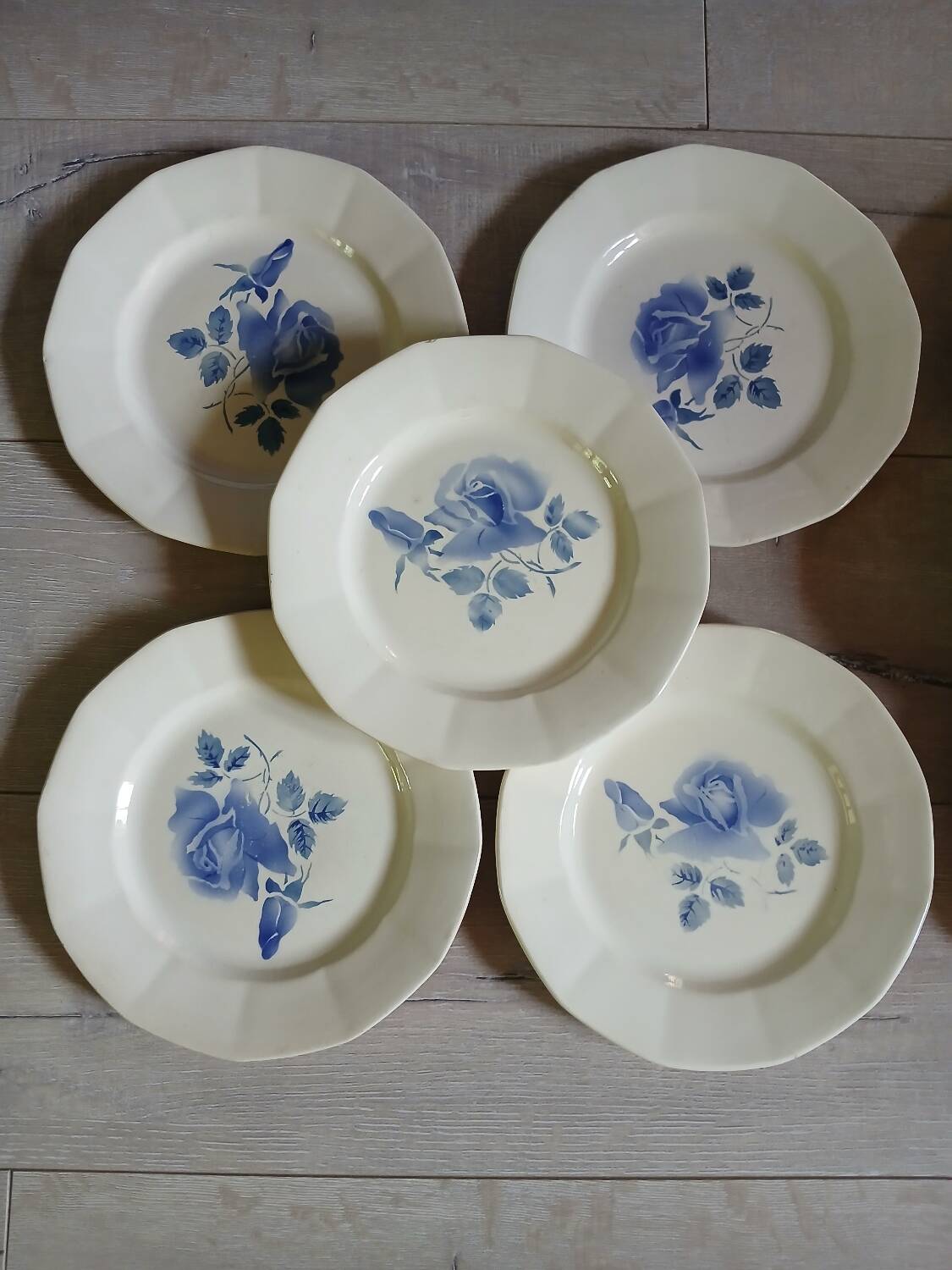 11 old Digoin and Sarreguemines plates