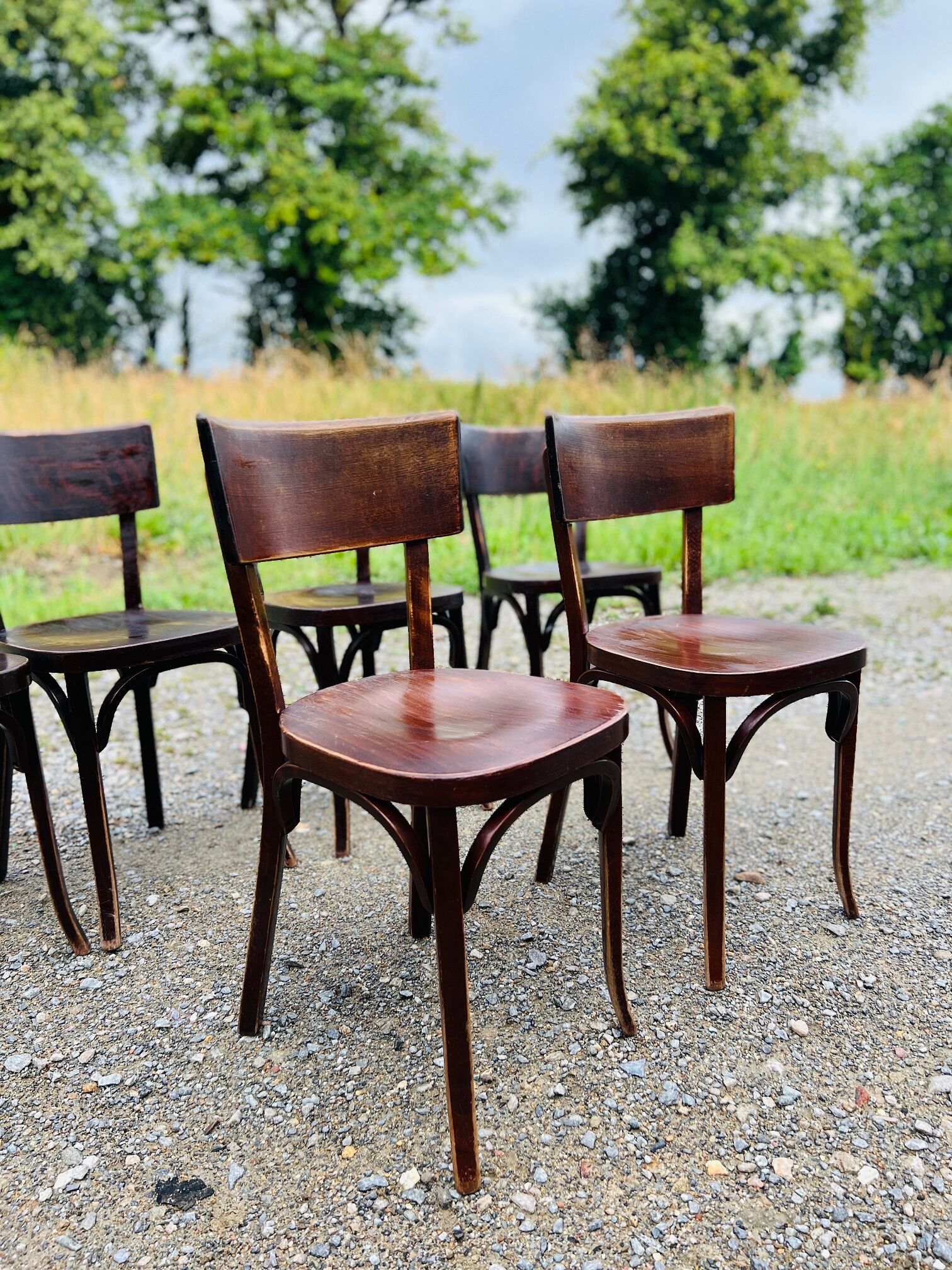 Set of 6 baumann bistro chairs classic years 50 bois fonce