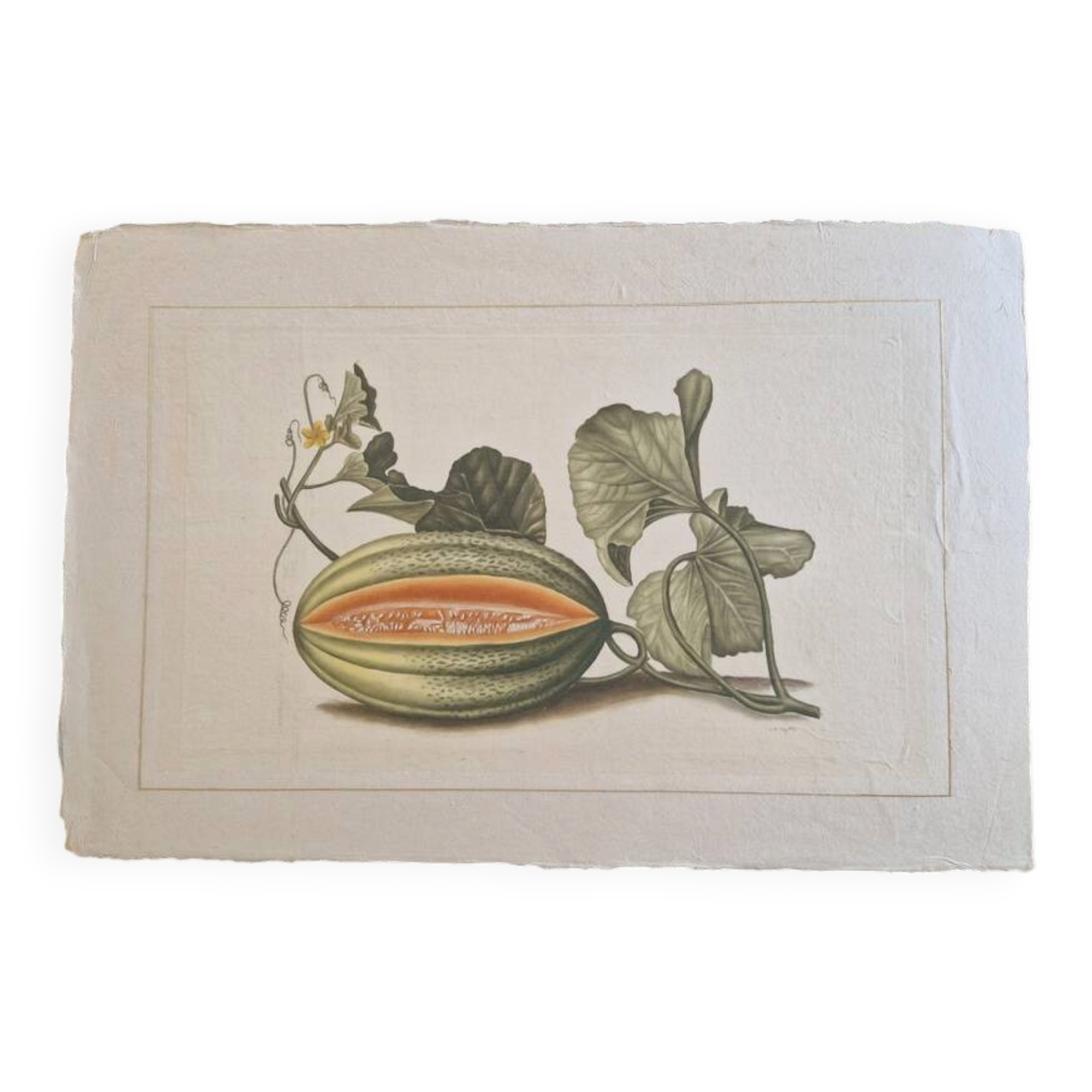 La Roche Laffitte (Born in 1943) - Watercolour drawing on silk - Melon