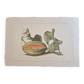 Dessin à l'aquarelle sur soie - Melon - La Roche Laffitte (Né en 1943)