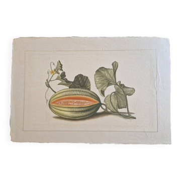 Dessin à l'aquarelle sur soie - Melon - La Roche Laffitte (Né en 1943)