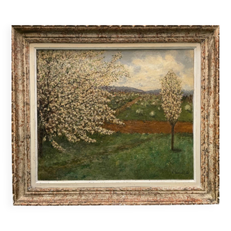 Old painting of apple trees in blossom in spring 20th century