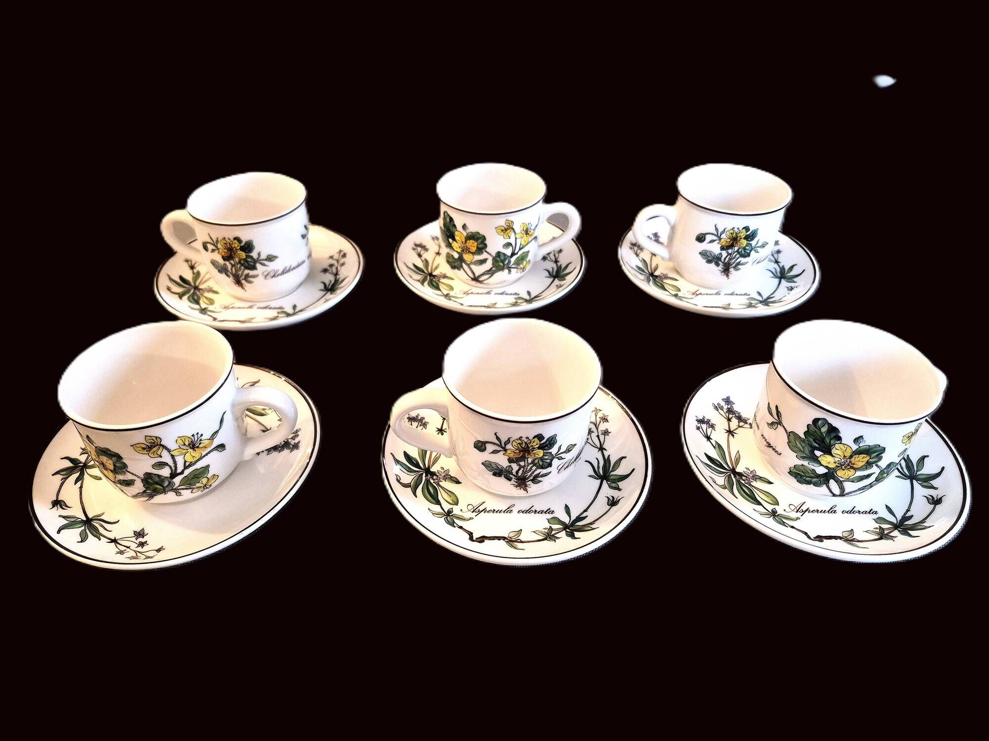 Set of 6 coffee cups and saucers Villeroy & Boch, vintage, Botanica