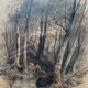 Painting drawing "Underwood" by Victor CASSIEN (1808-1893) + frame