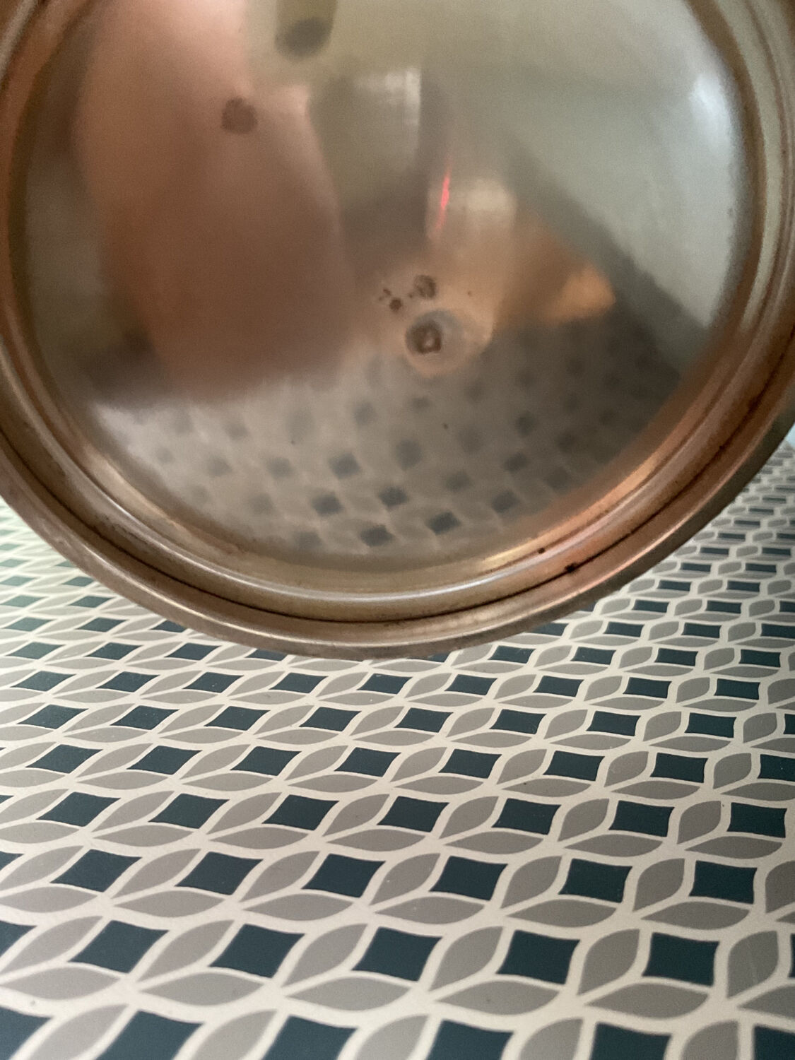 Carafe silver vermeil grapes 🍇