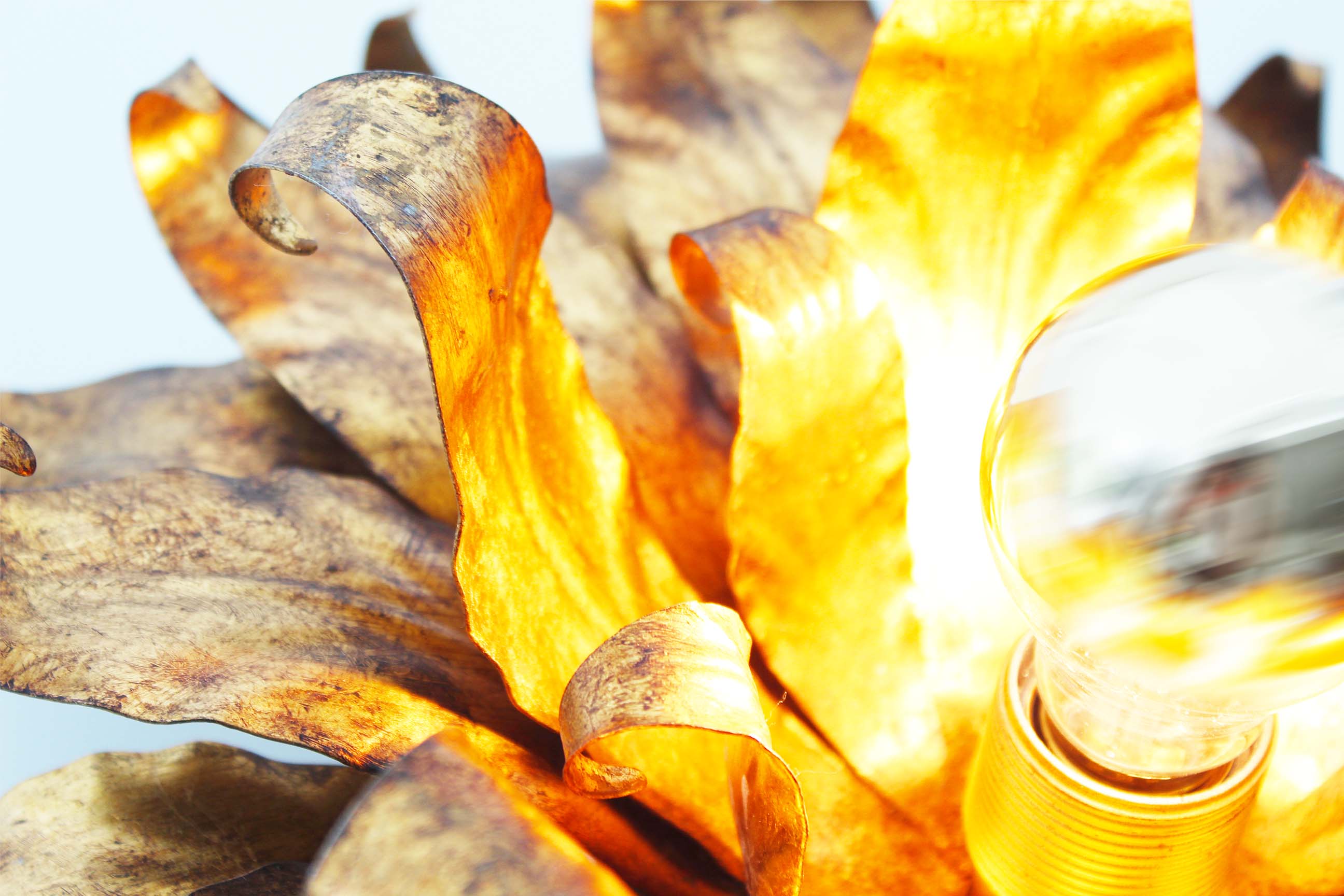 Italian gilt floral wall or ceiling light