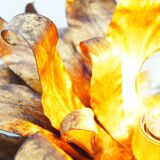 Italian gilt floral wall or ceiling light