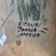 Parrot vintage pottery erandi tonala mexico