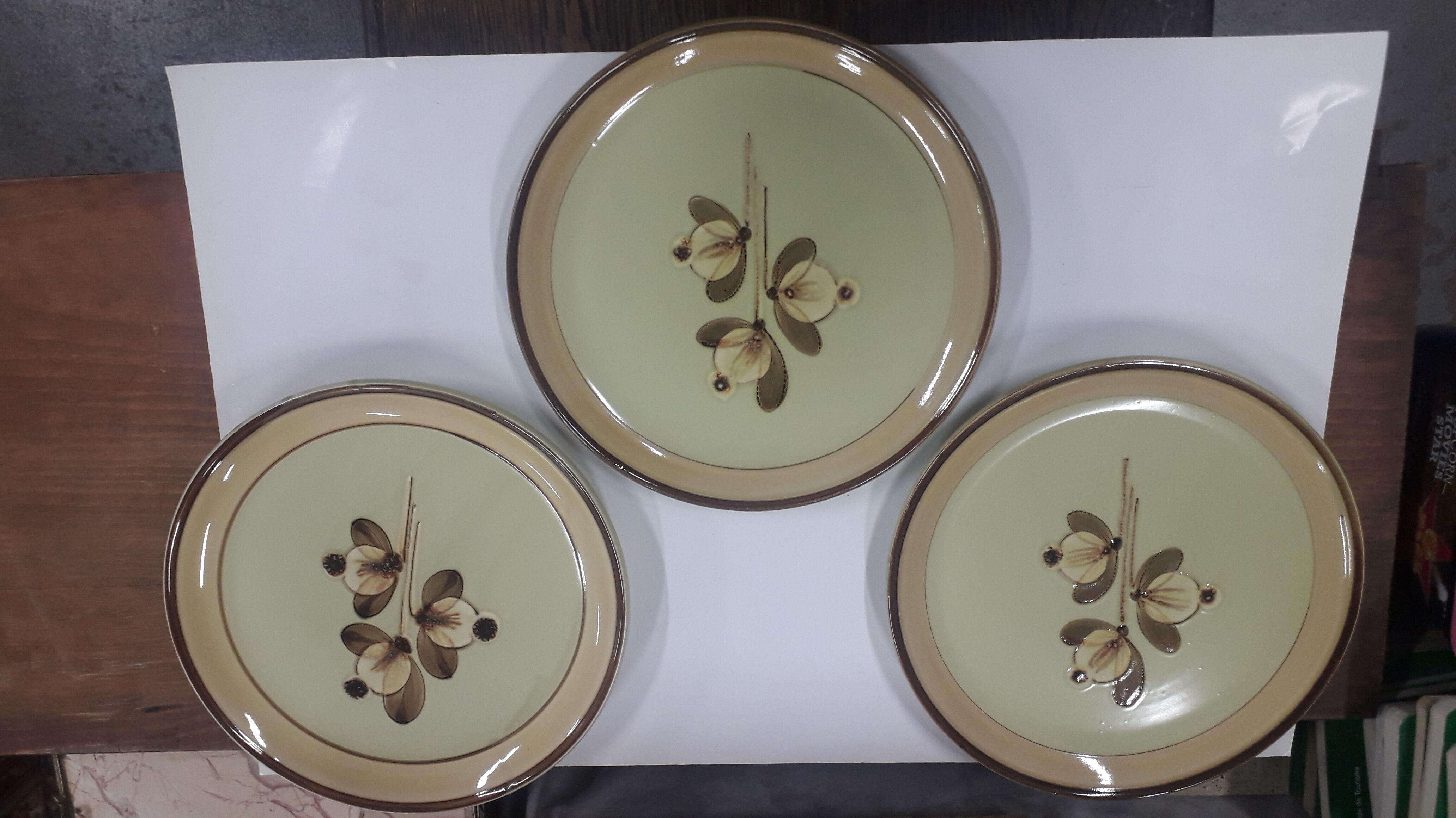 3 vintage ceramic plates schramberg model reseda