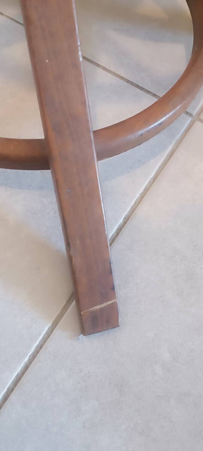 Portemanteau perroquet