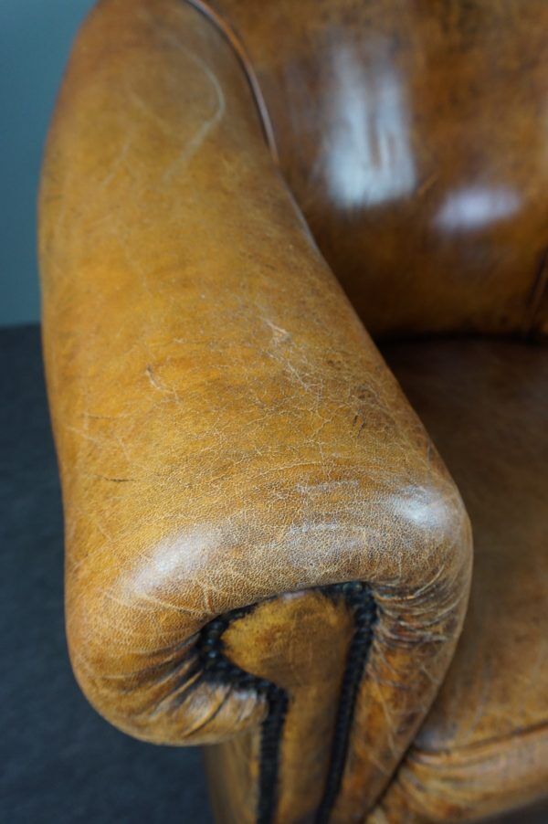 Sheep leather club chair