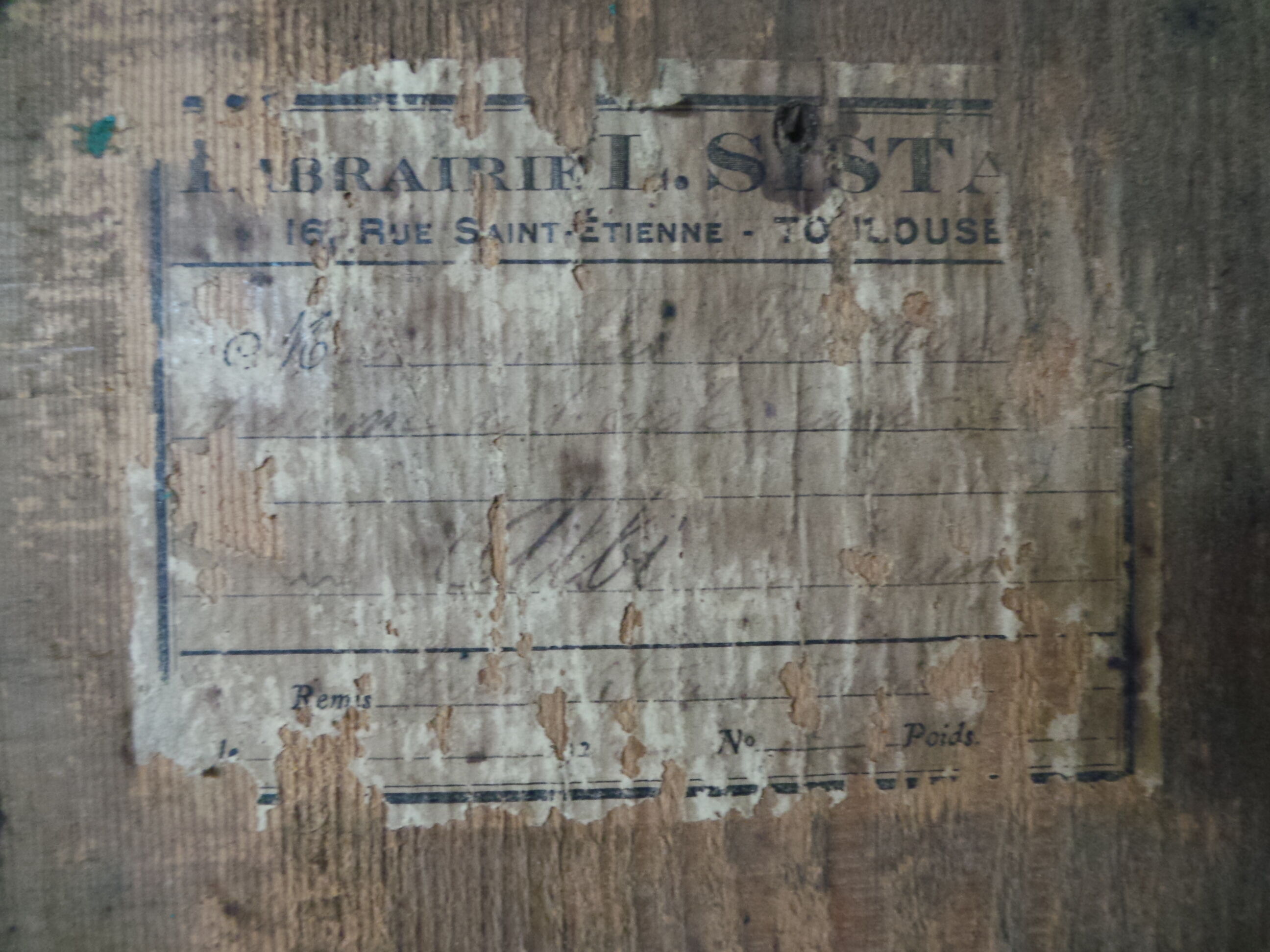 Landscape oil on panel