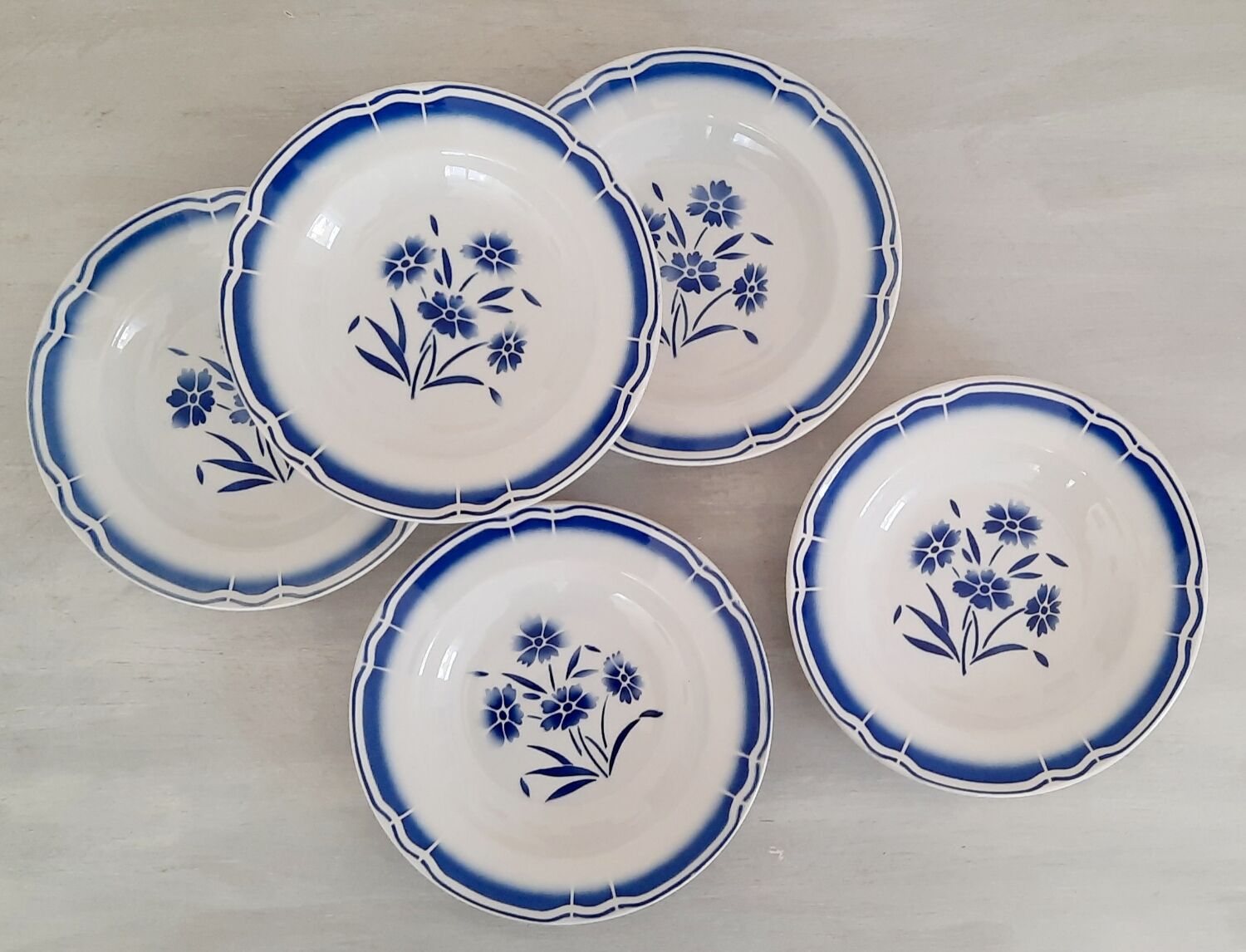 Hollow earthenware plates fb Badonviller décor vintage blueberries