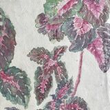 Solenostermon (Coleus Blumei), 1950s. Watercolor on paper