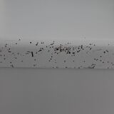 Asymmetrical wardrobe typical of the 50