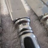 11 silver-plated dessert knives, Ercuis goldsmith, Roses model, Louis XVI style