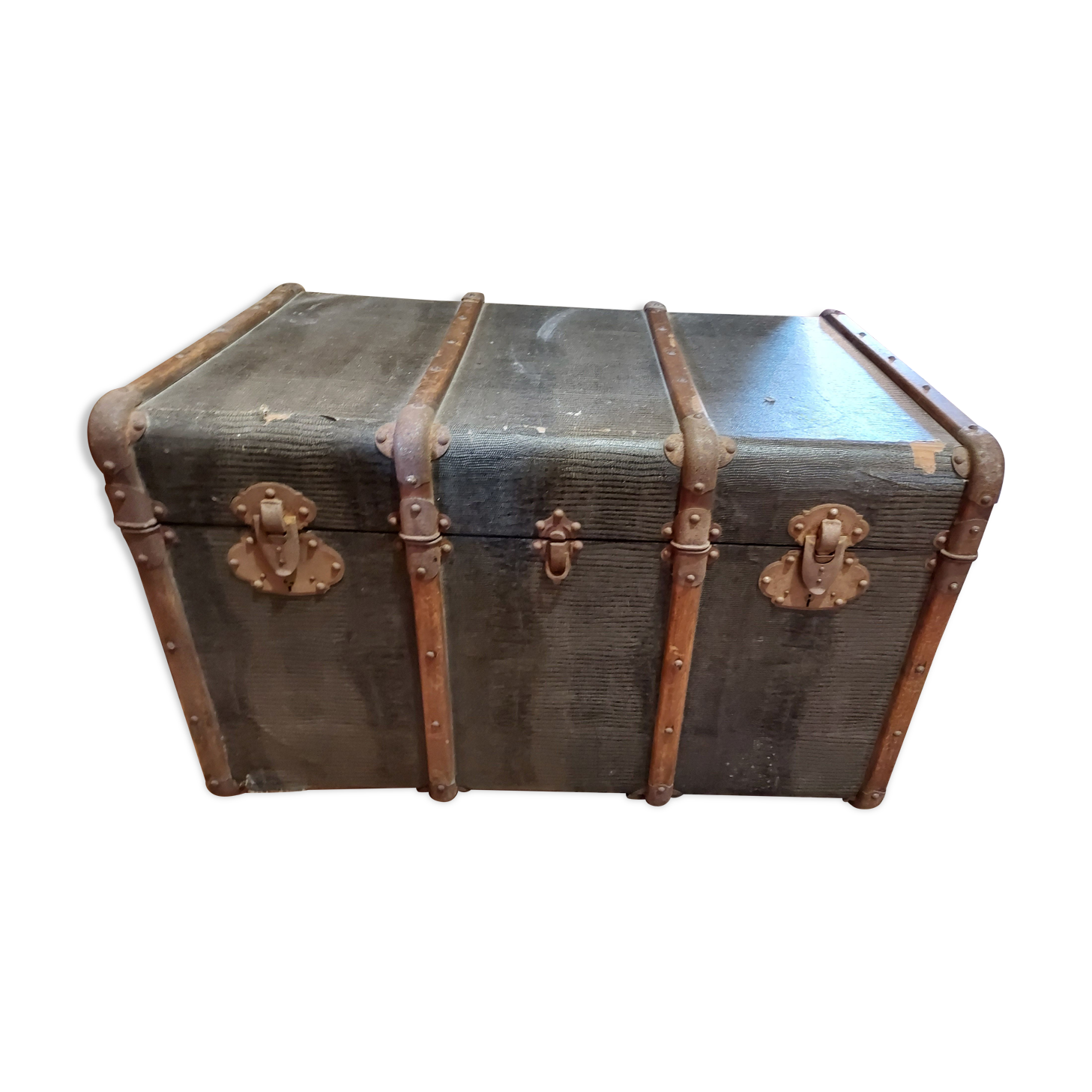 Trunk old snake skin pattern