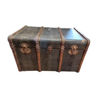 Trunk old snake skin pattern
