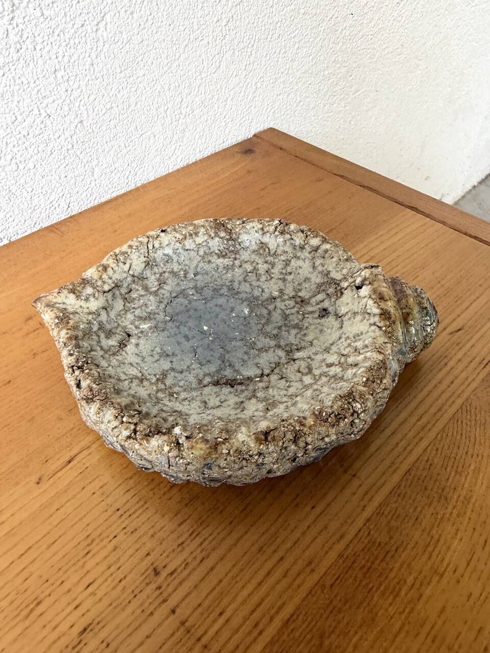 Shell-shaped ceramic glazed catchall