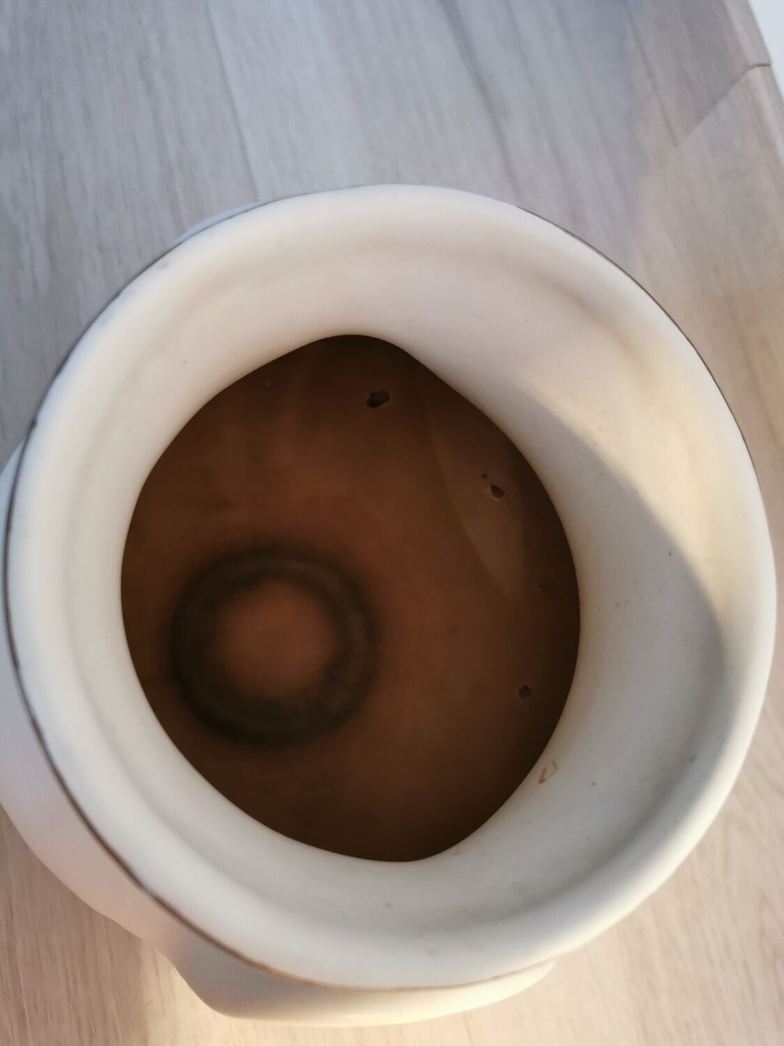 Vase à oreilles par Roger Capron Vallauris 50/60's
