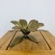 Brass flower ashtrays petals