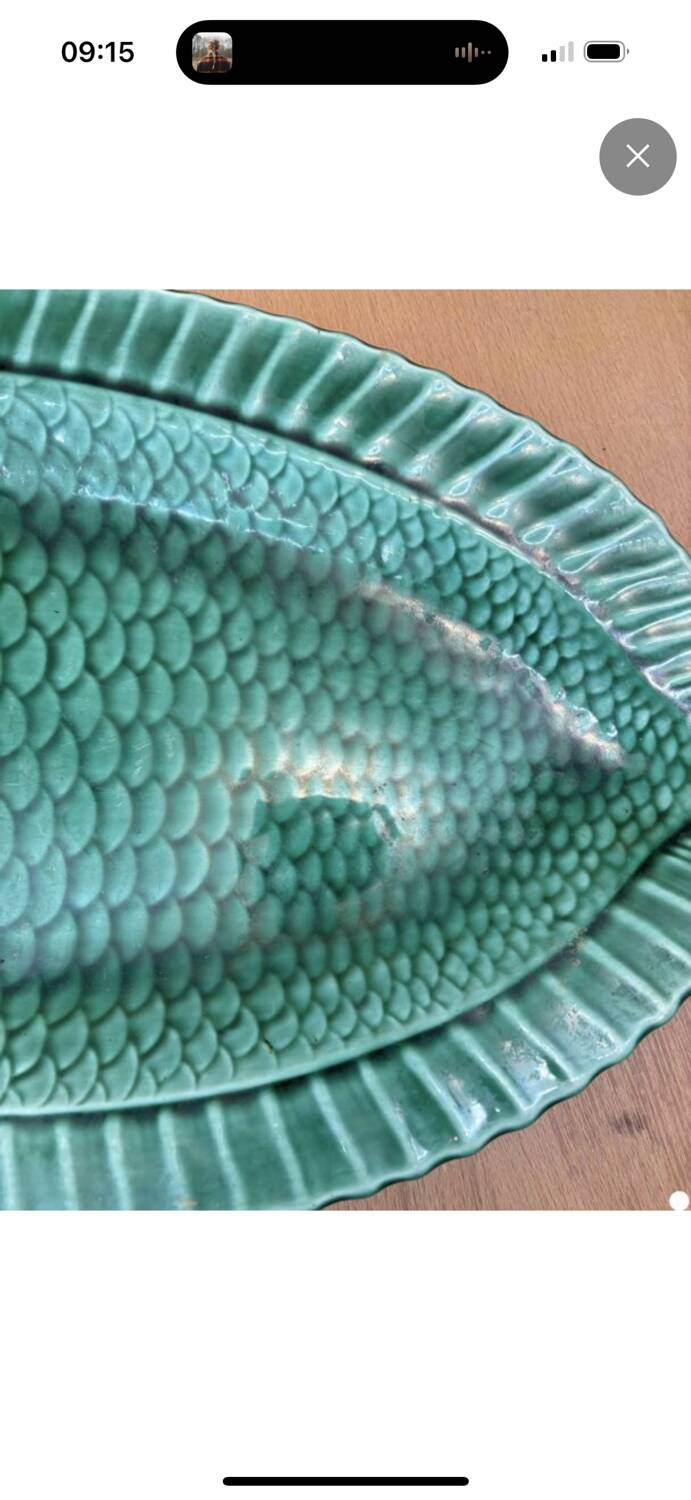 Sarreguemines fish dish