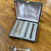 Series of 12 teaspoons in silver metal with their box
