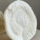 White coral on a natural base