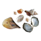 Batch of shells