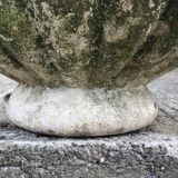 Medici Basin
