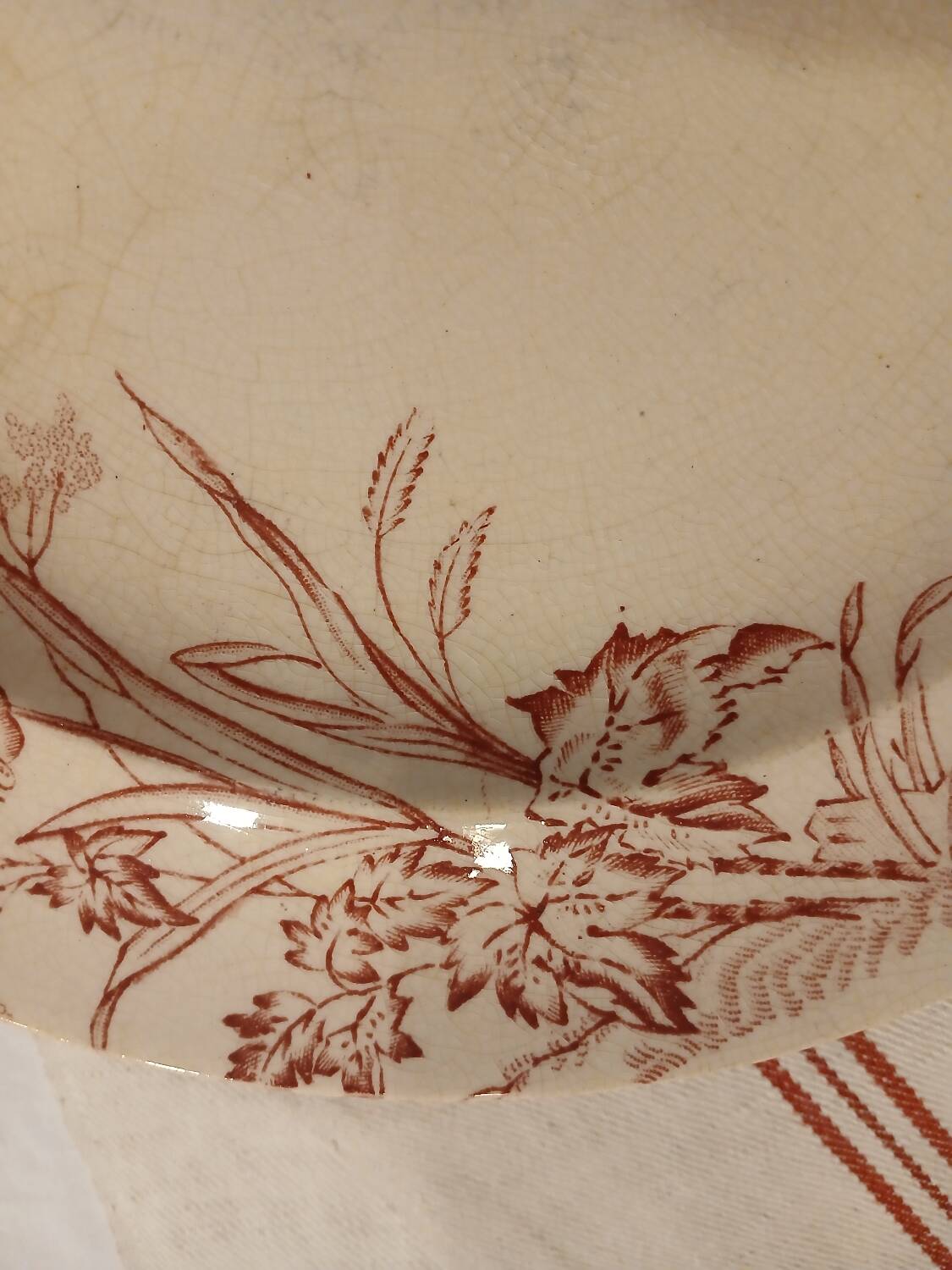 10 antique ironstone dinner plates