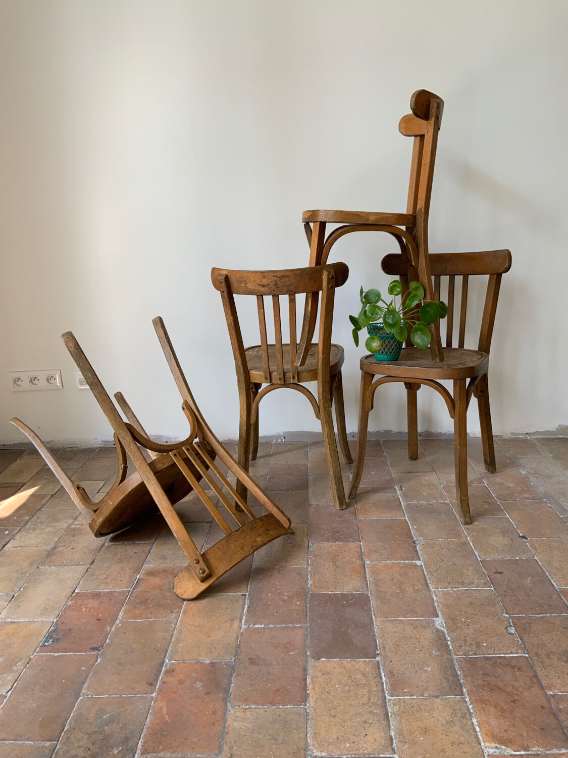 Baumann chairs