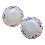 2 deep plates Céranord St Amand Adeline 210604