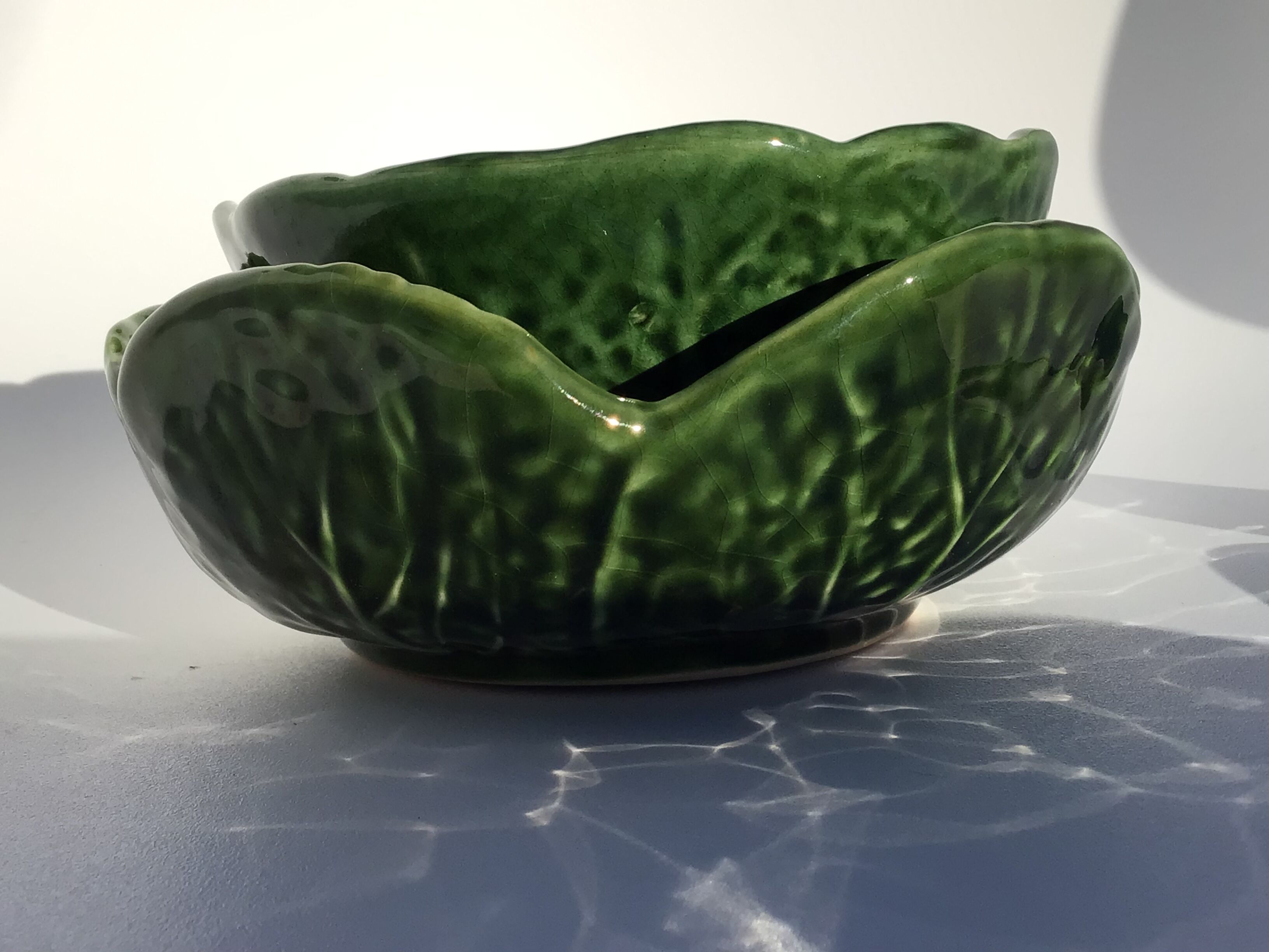 2 bowls slurry cabbage