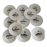 Assiettes plates luneville