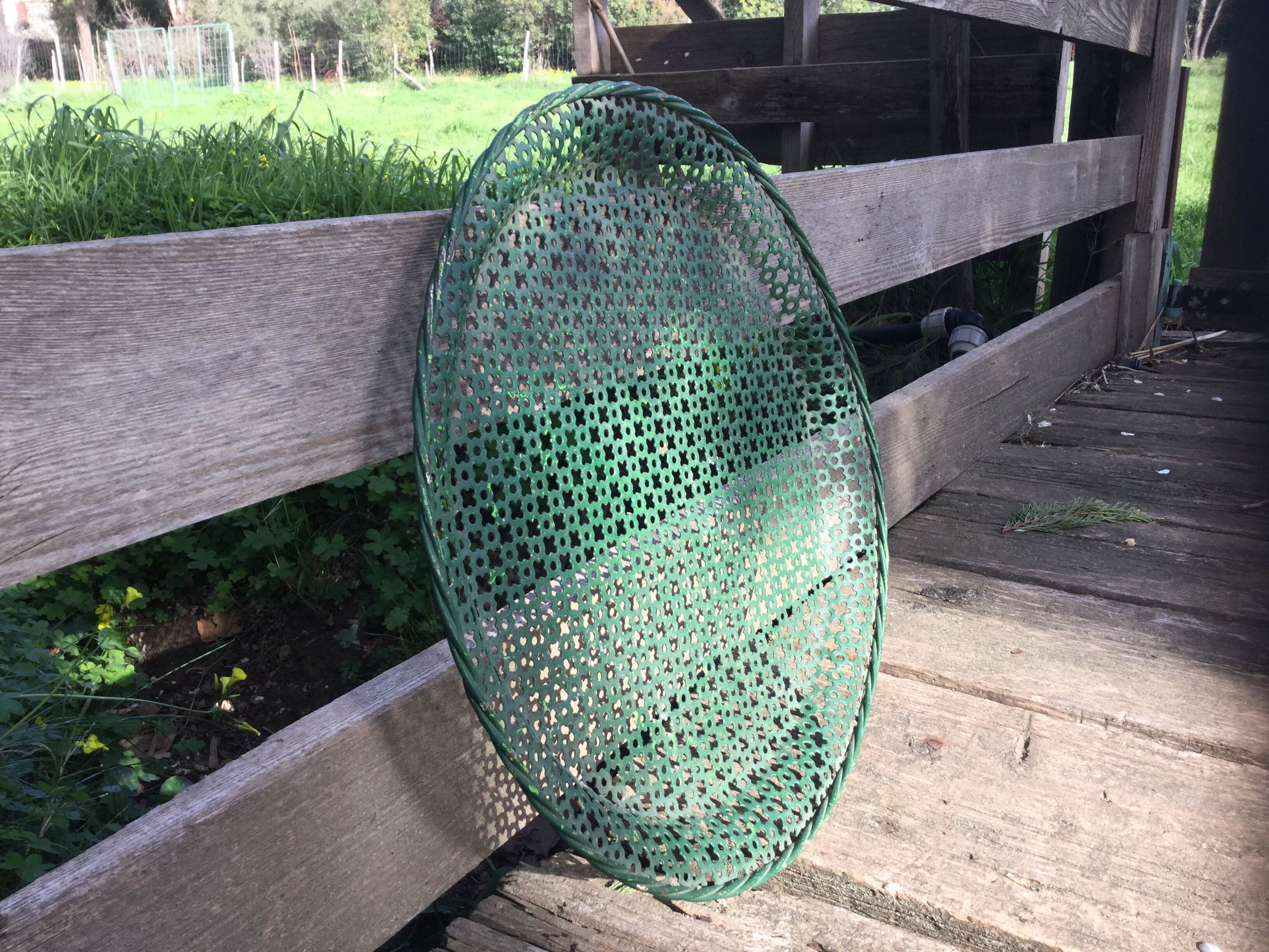 Mathieu Mategot tray