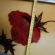Floral tray signed Elge