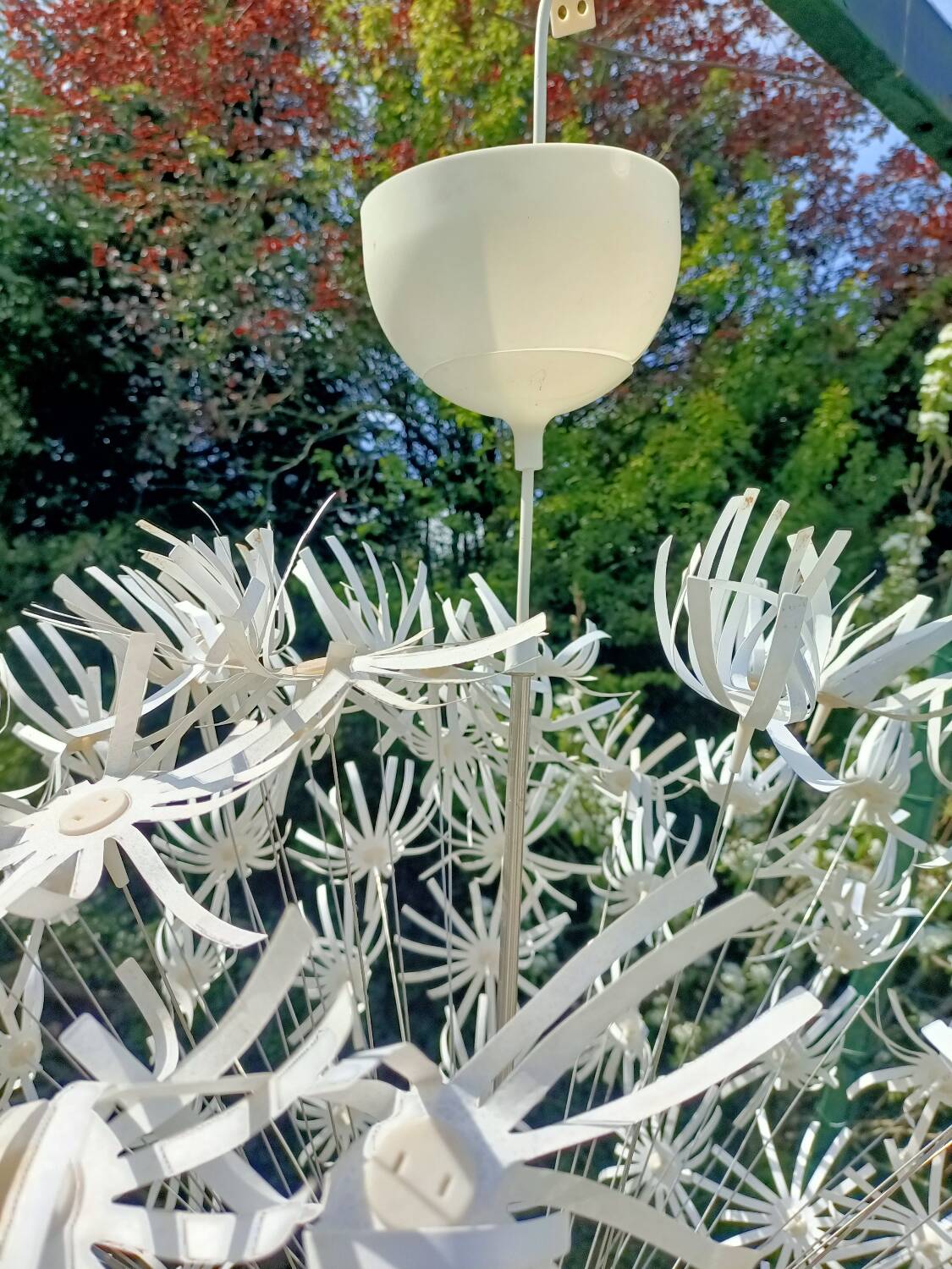 Dandelion pendant light