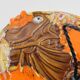 Plat Poisson Vallauris Céramique Vintage Orange
