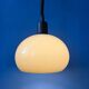 Vintage beige mushroom suspension in acrylic glass