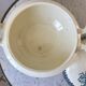 tureen in Iron Earth Salins model "Alhambra" XIXth