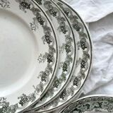 6 mismatched ironstone flat plates Murier Violetta