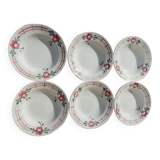 6 earthenware plates by Digoin Sarreguemines Castile model