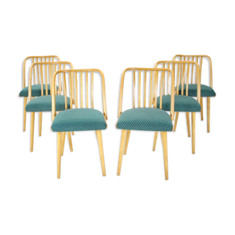 Lot de 6 chaises à manger Antonin Suman des années 1960, Tchécoslovaquie